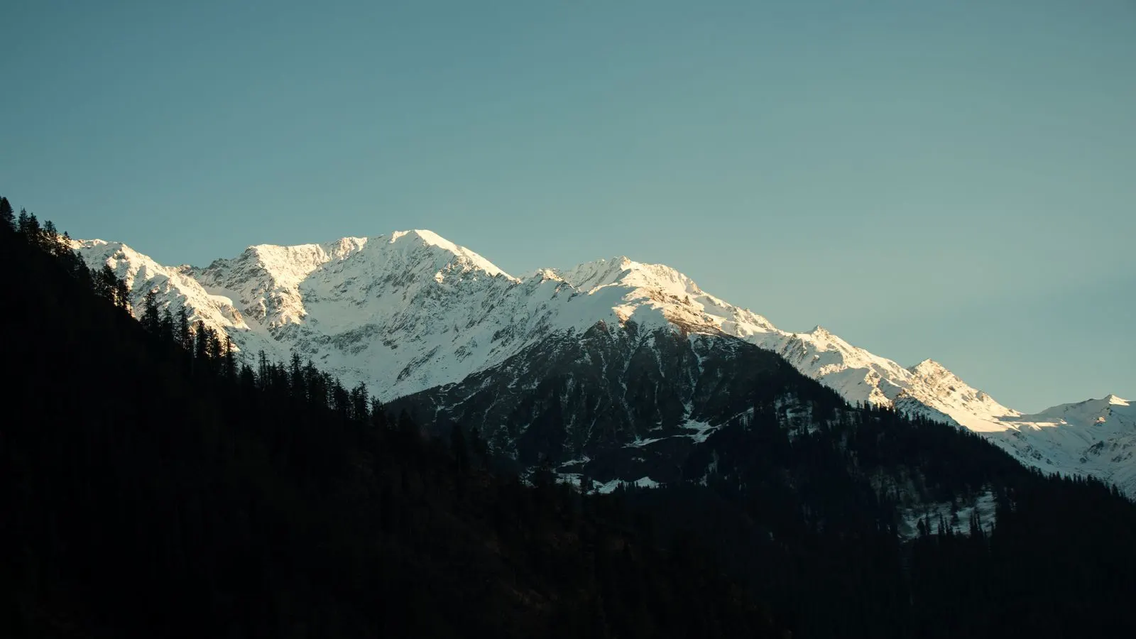 Sunlit snow peaks above a dark pine forest in Himachal Pradesh