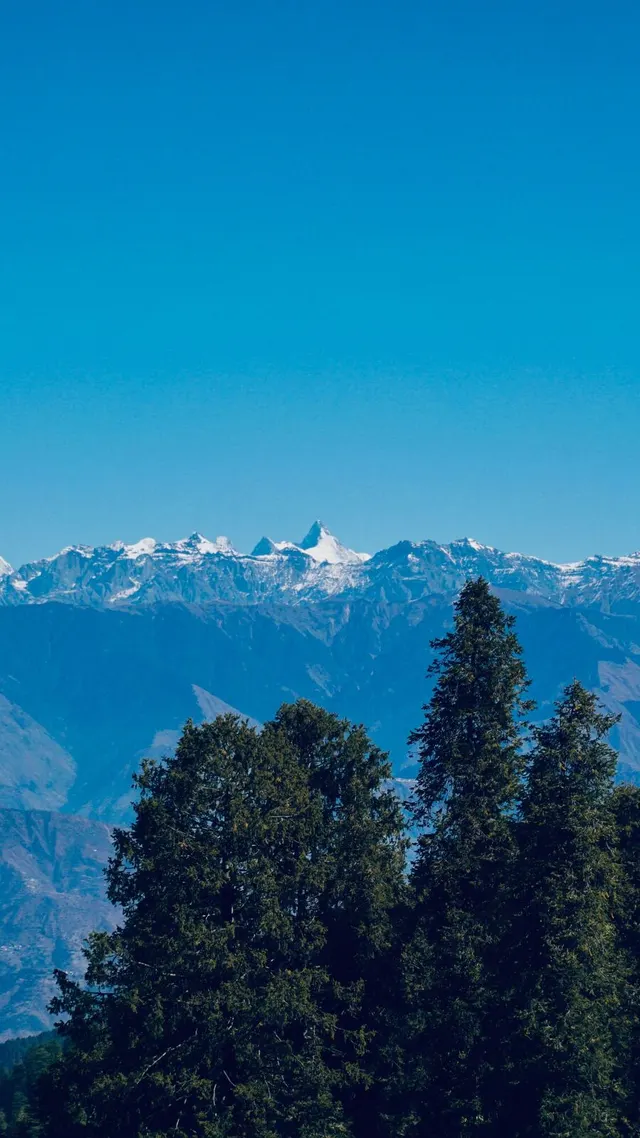 Snowcapped mountains and trees, Chamba