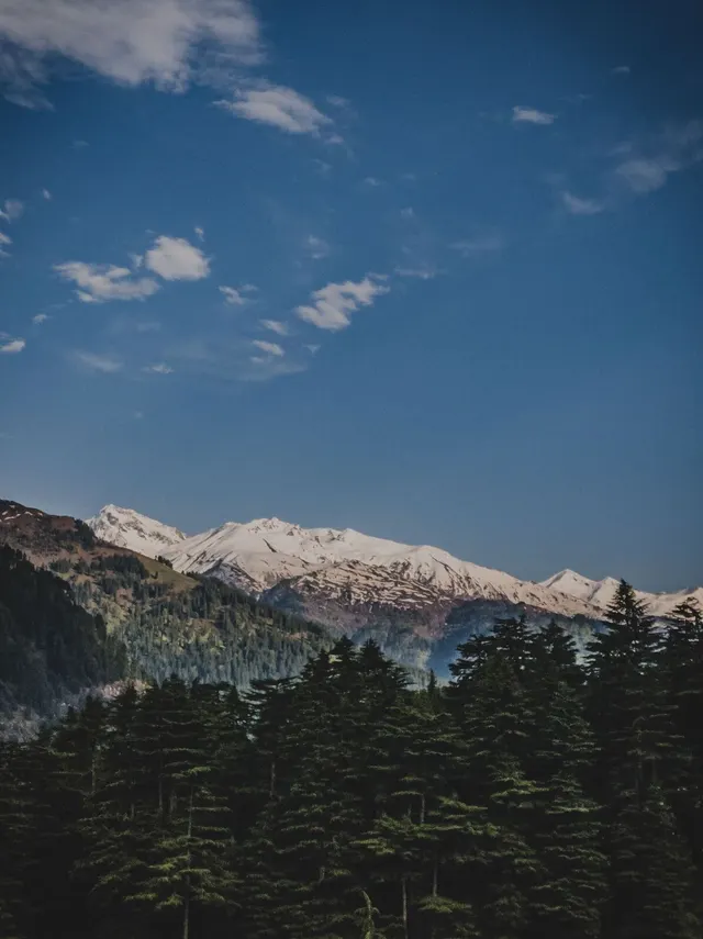 Snow-capped Himalayas and forests, Manali