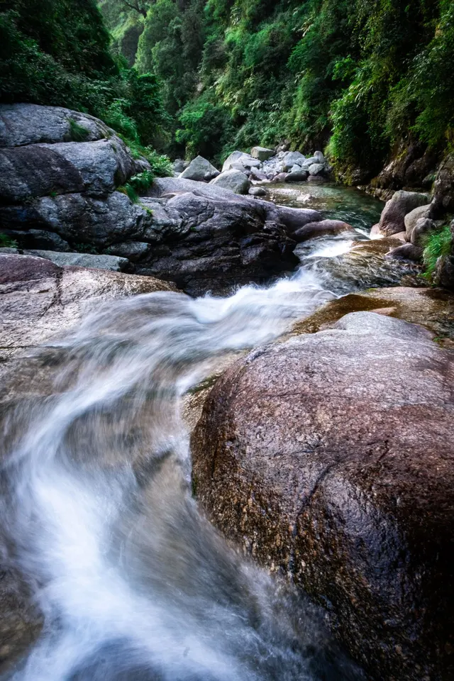 Mountain stream in Kareri, Himachal Pradesh